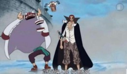 巴基的真实实力最新爆料,最新实力曝光，谁是海贼王世界的真正强者？